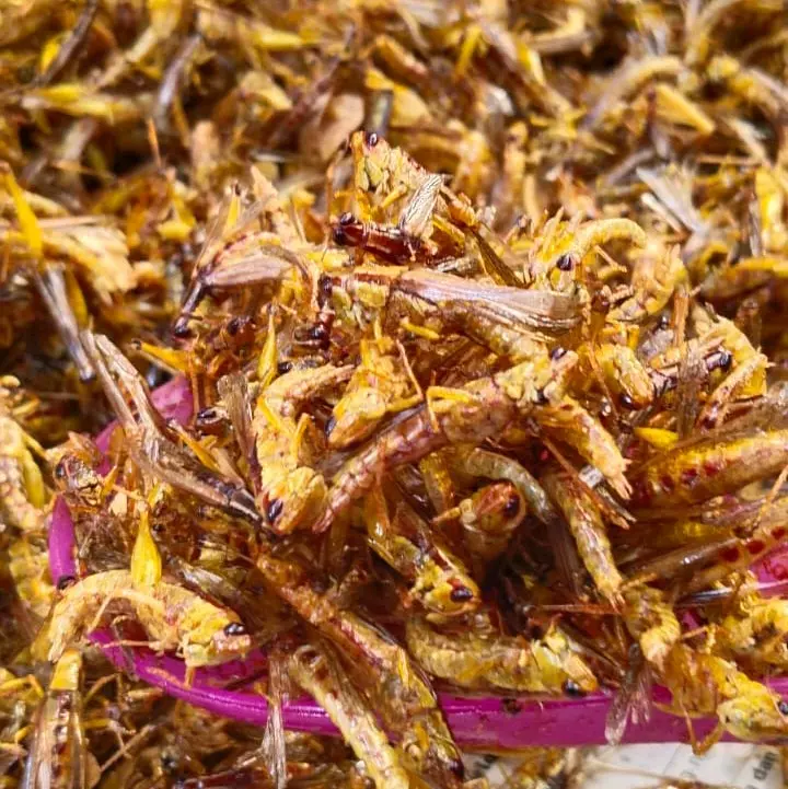 CEMILAN EXTRIM /WALANG/BELALANG GORENG TOPLES PANJANG 210 GRAM Rendah lemak 5
