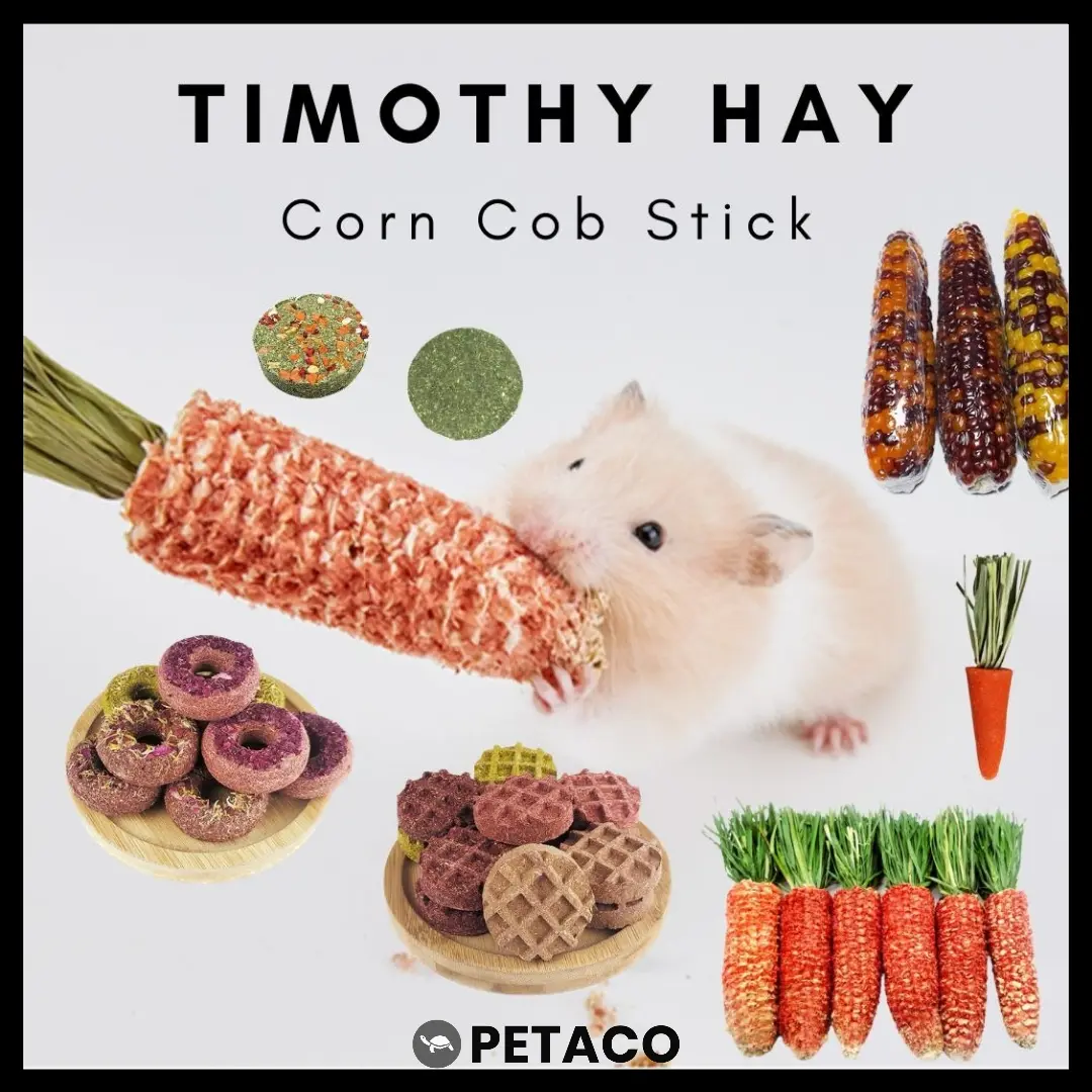 Timothy Hay Corncob Stick Hamster Snack Chinchilla Molar chew guinea pig snack molar stick teeth grind