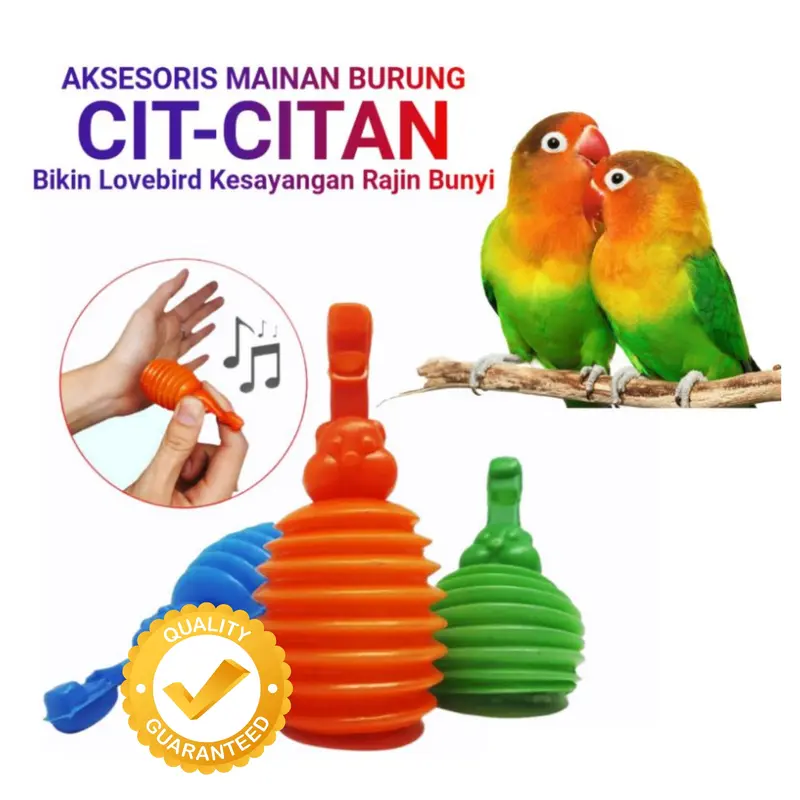 10PCS Cit Citan Mainan Lovebird Bunyi Latih Ngekek Lovebird DELLO 1
