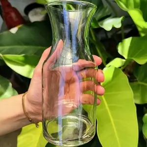 vas bunga kaca bening belarius/pot tanaman air/vas estetik/vas estetik