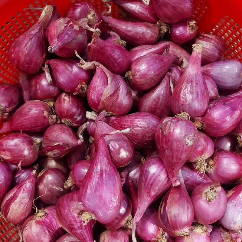  Hành Tím lý sơn Khô  Chất Lượng Cao Từ Lý Sơn quảng ngãi 