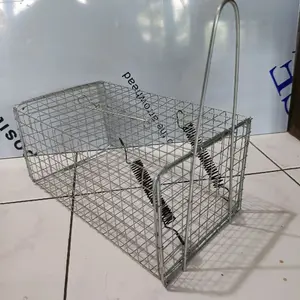 Perangkap Tikus Jebakan Tikus Kawat Besi Galvanis Dilengkapi 2 Pir Pegas Kuat untuk Kontrol Tikus Efektif