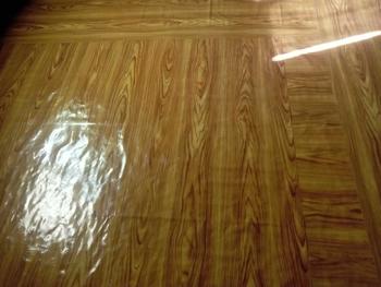 Product Review of Linoleum Rubberized Renoleum Rinoleum Floor Mat Floor- Sold per Yard (3ft x 6ft) from R**a 2
