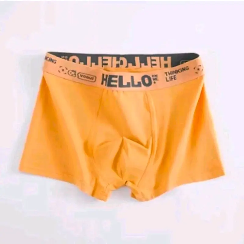 PAKET 6 PCS Celana Dalam Boxer Pria Hello Ice Silk Adem Lembut Tipis Antibakteri CDP006 Nyaman priamurah 6