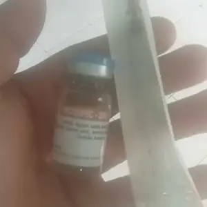 Lincospec 200 - Lincospec 200 10 ml - Obat untuk Ayam Sakit Apapun