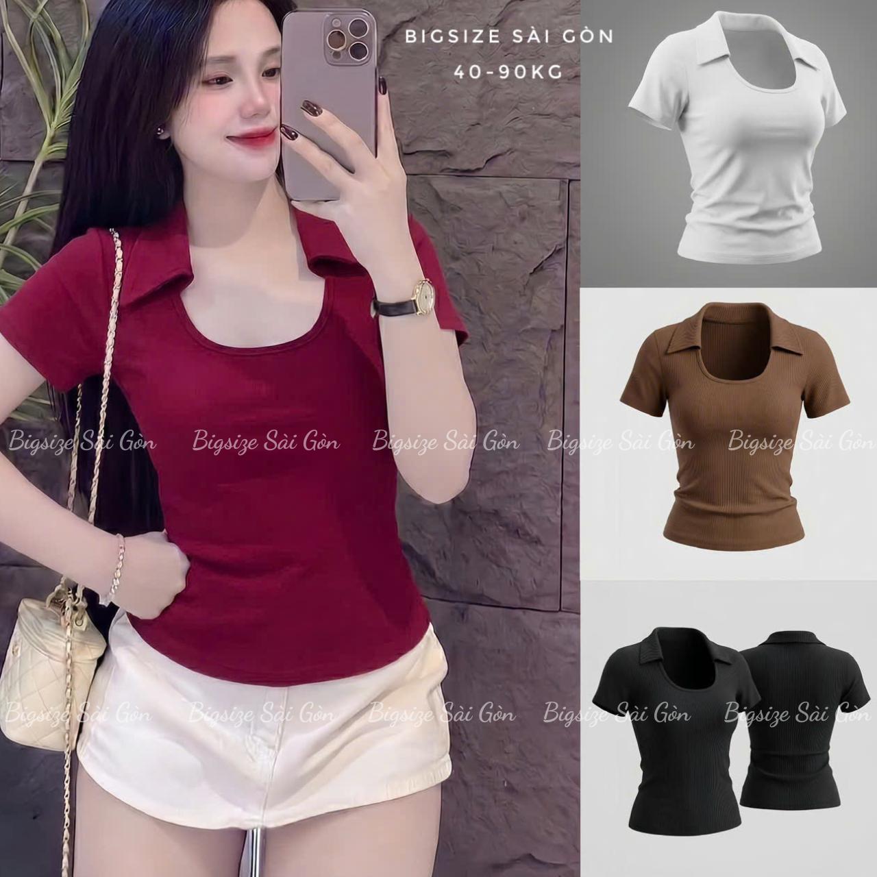 Áo Thun Polo Nữ Phối Cổ Vuông (Vải Thun Borit) Cao Cấp Thanh Lịch Bigsize Cho Nàng 45- 90Kg Dễ Thương Top Nữ Women - B.1640