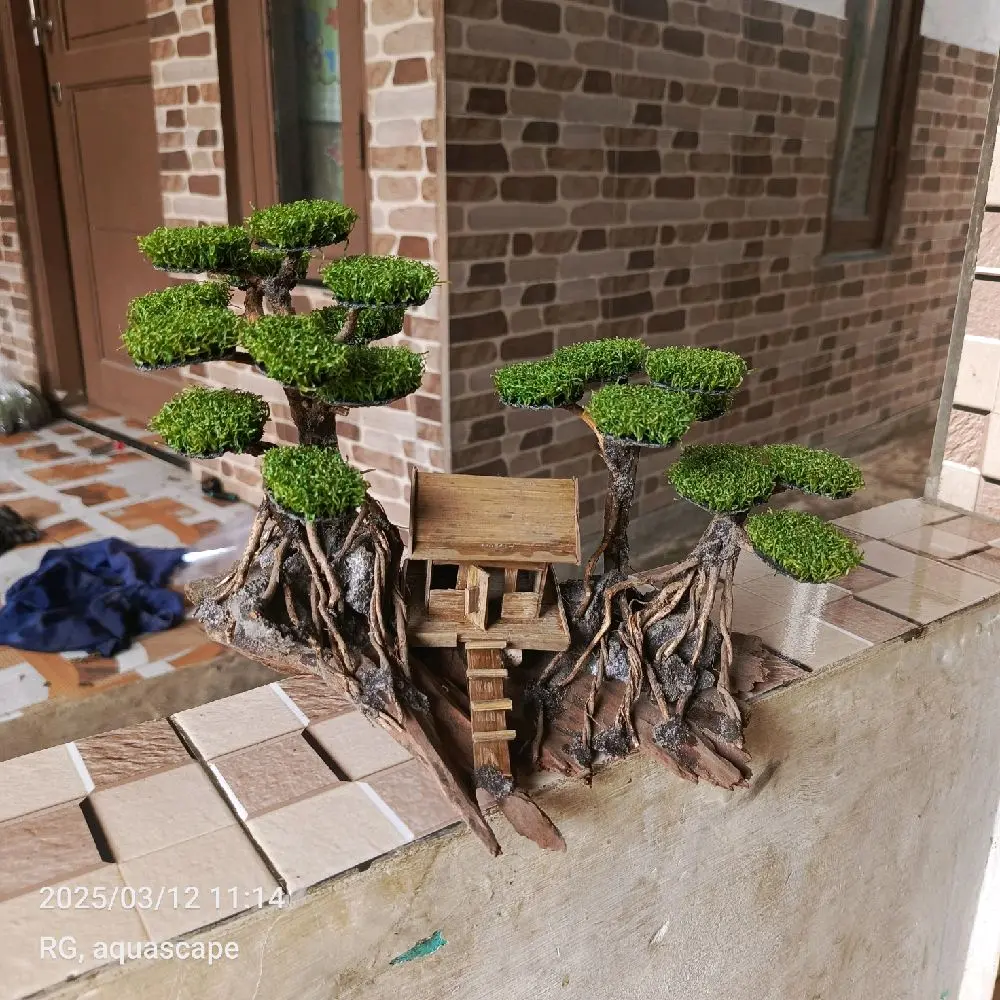 bonsai sitentis dekoran aquarium hiasan aquascape