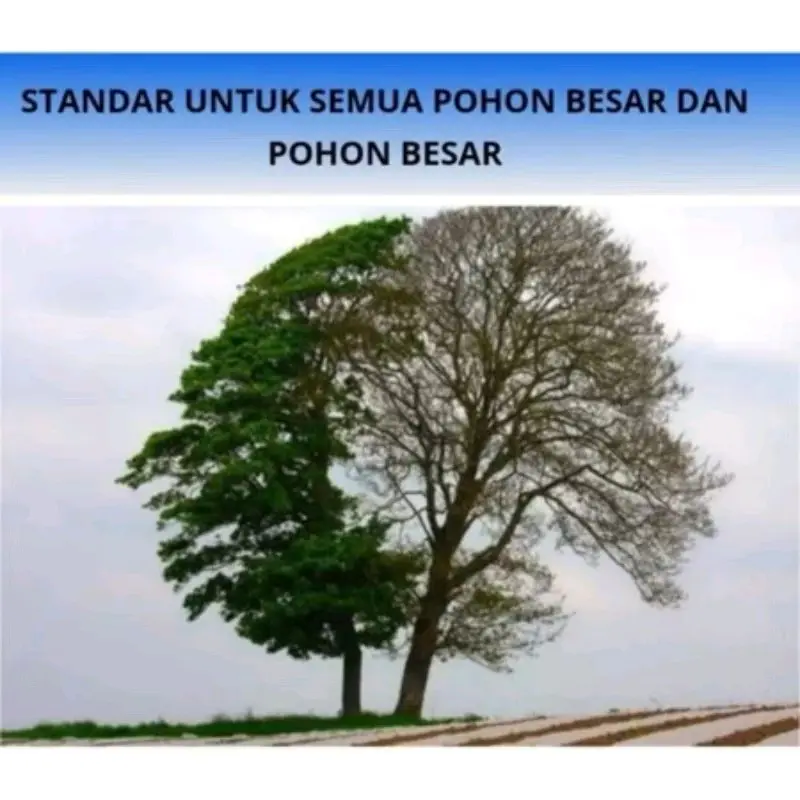 bubuk herbisida killgrass racun rumput, bambu, pohon besar, dan gulma isi 500g 5
