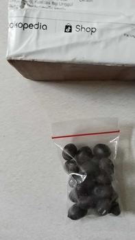 Product Review of isi 20 Biji Bunga Lotus Teratai Mini Jepang, Kualitas Biji Unggul untuk Pertumbuhan Optimal Bunga Tanaman Alami Benih from d**2 0