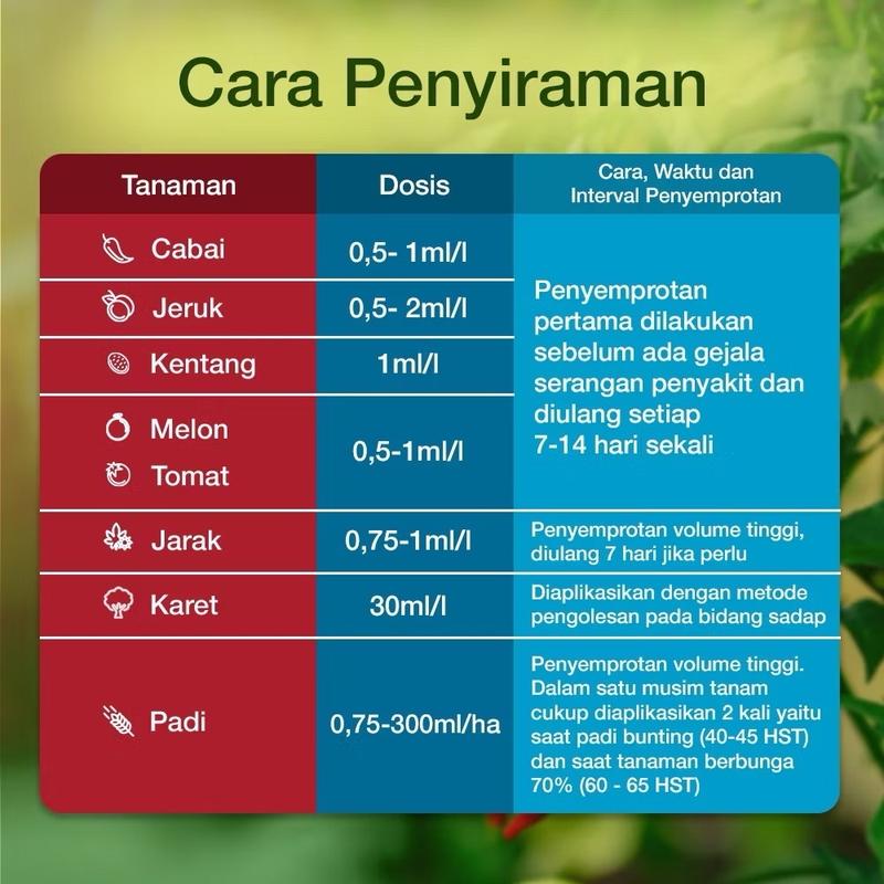 Product Introduction of Amistartop 325 SC Fungisida sistemik  Kemasan Repack 20ml Mengendalikan penyakit jamur 4