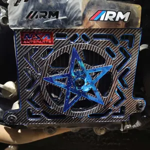 COVER RADIATOR SPINNER BINTANG VEXA TYPE CARBON VARIO STYLO PCX NMAX AEROX ADV LEXI NSA