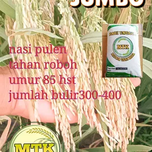 BENIH PADI THAILAND JUMBO KEMASAN 5KG