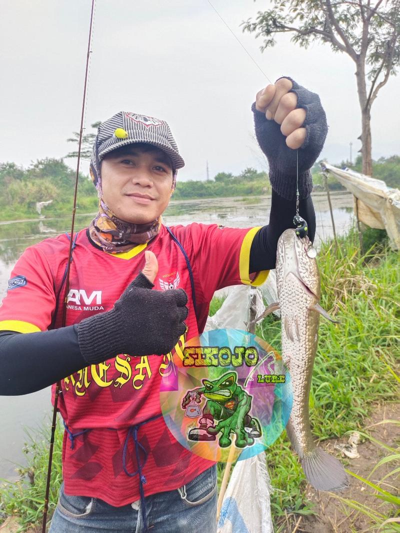 Product Introduction of Lure Soft Frog Mini umpan pancing Ukuran 3cm Berat 5grm Untuk Mancing Casting Ikan Gabus 12