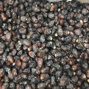 Kurma Ajwa Reject 1g – Campuran Saiz, Rasa Tetap Terbaik