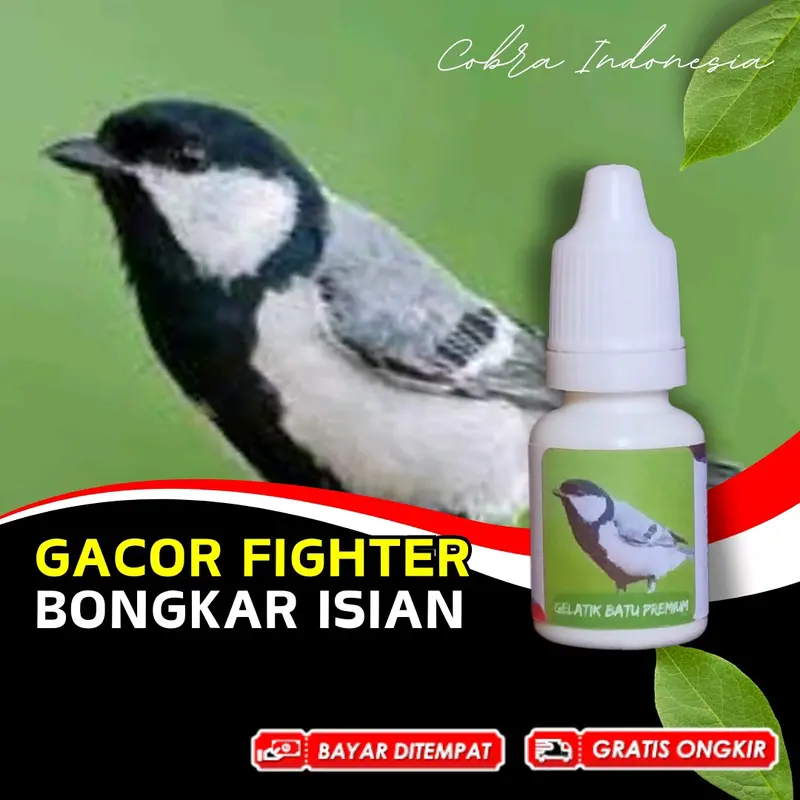 Vitamin Burung Gelatik Batu Gacor 0