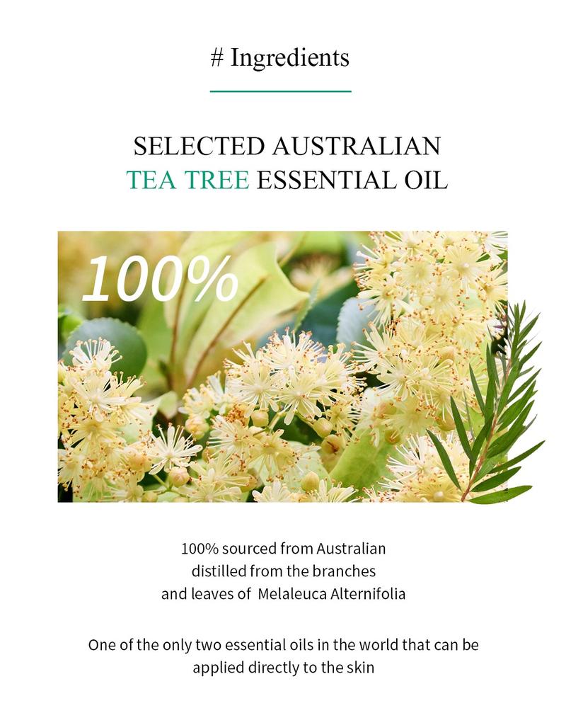 Product Introduction of BREYLEE Tea Tree Oil Blackhead Mask Pore Refining Serum Facial Blackhead Treatment 17ml Skincare Comfort 5