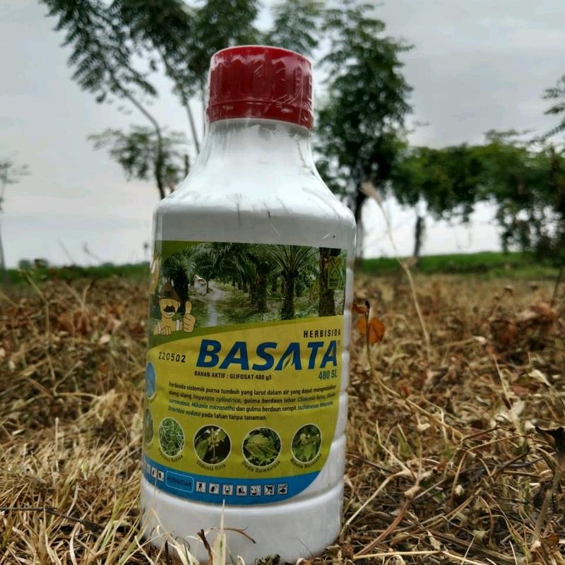 BASATA HERBISIDA 480SL.DAUN,BATANG,AKAR RUMPUT KERING. 1