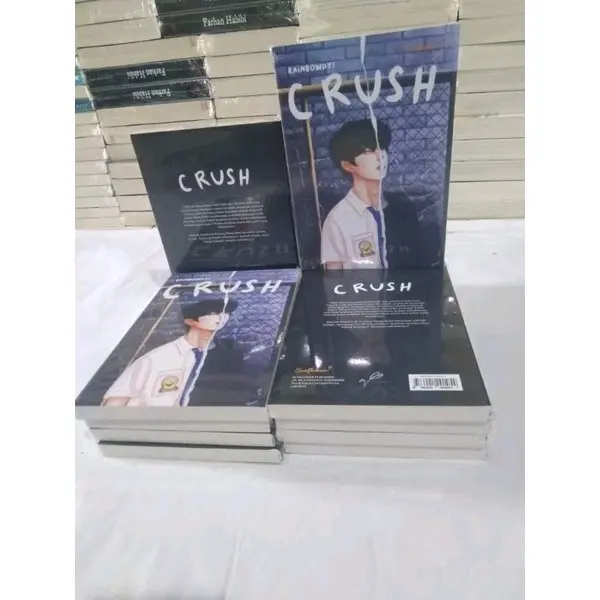 BUKU NOVEL-CRUSH RAINBOWDYI