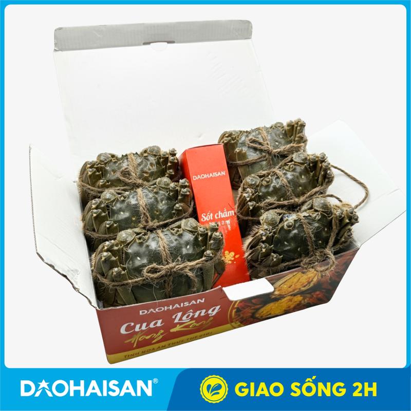 HCM - GIAO 2H Cua Lông HongKong Sống - TẶNG NƯỚC CHẤM KHI MUA TỪ 4 CON- Tinh Hoa Thế Giới - Gạch Béo Ngậy - Đảo Hải Sản