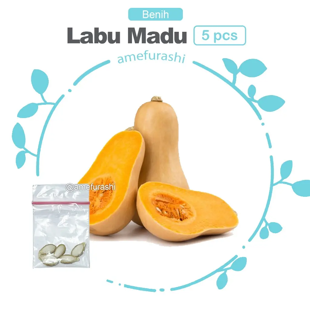 Labu Madu 5 Biji