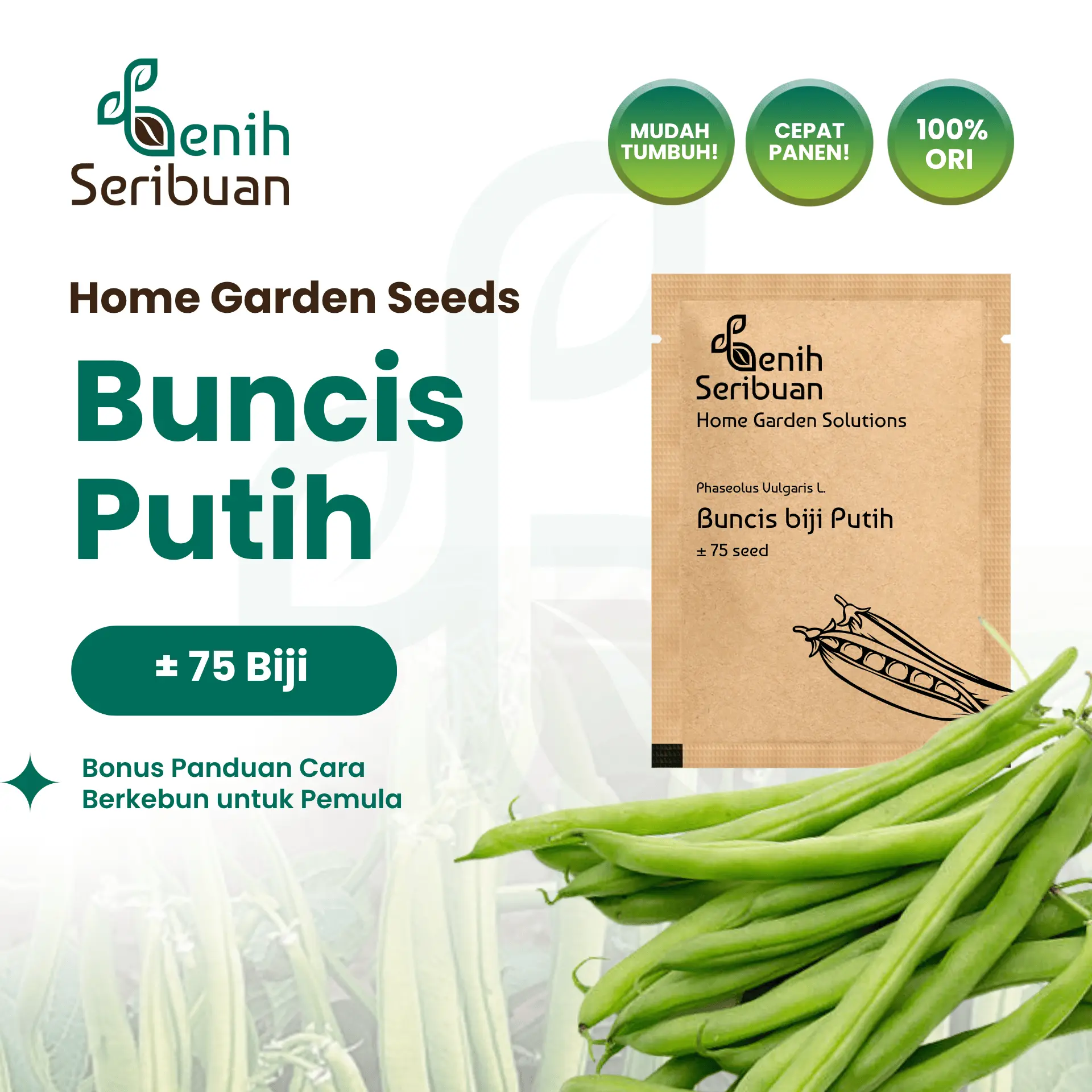 Benih Buncis Putih - Benih Sayuran Seribuan