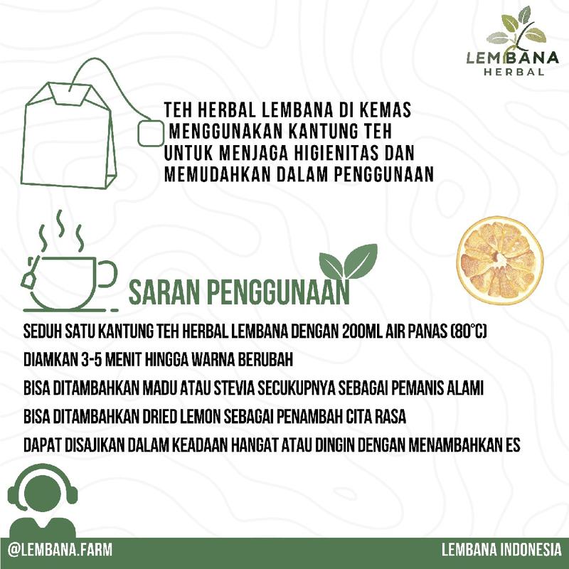 TEH HERBAL LEMBANA PEPPERMINT RELAKSASI IMUNITAS RADANG TENGGOROKAN ANTI STRESS 1