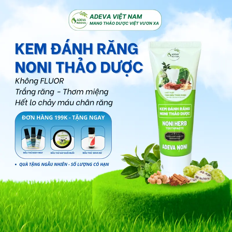 Kem đánh răng thảo dược NONI Adeva - Trắng răng, Giảm hôi miệng, Hỗ trợ giảm ê buốt, Cay mạnh 50g 0