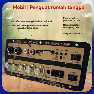 Amplifier Karaoke COD AC/DC12-24 MIDI8-12 HiFi/2025 baru emas D300/D600 built-in Bluetooth Ultra-High Power Audio - Subwoofer Amplifier Subwoofer Mixer