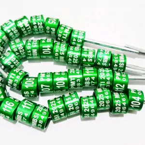MURAH RING MERPATI PESAN NAMA RING BURUNGDARA CUSTOM ISI 10