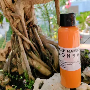 salep kambium bonsai 100 ml saleb kambium obat penutup luka tanaman bonsai