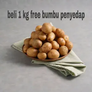 kentang rendang 1kg gratis bumbu penyedap