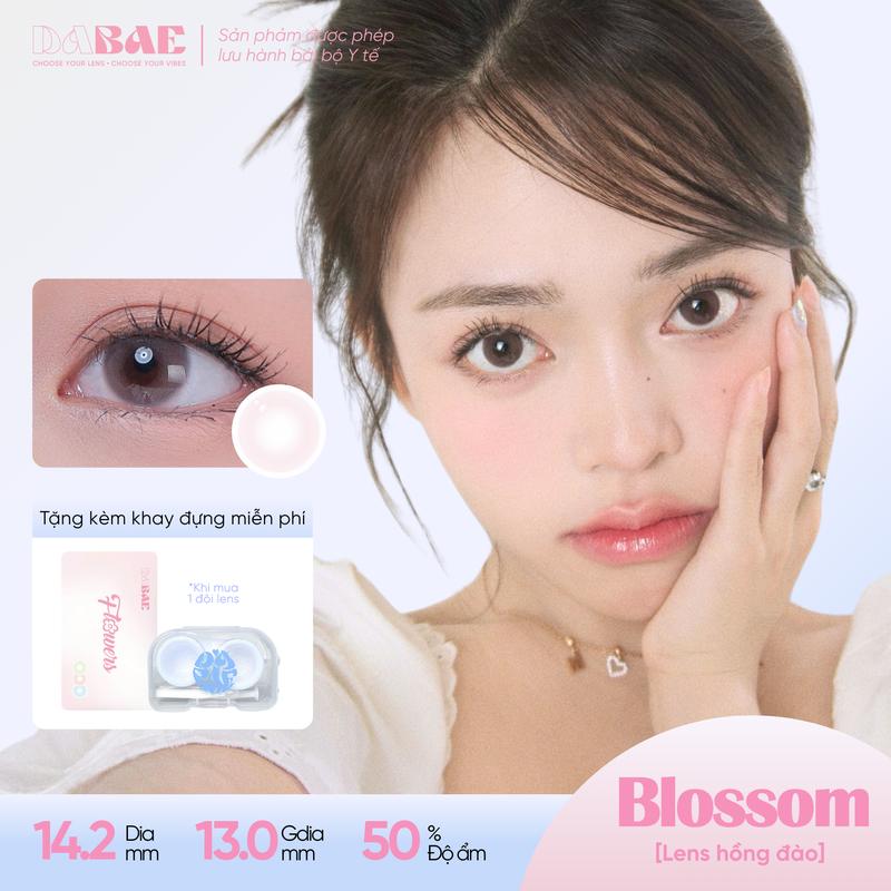  Kính áp tròng DABAE lens mắt màu hồng hoa anh đào 3 tháng DIA 14.2mm có độ cận 0-8 PEACH BLOSSOM 