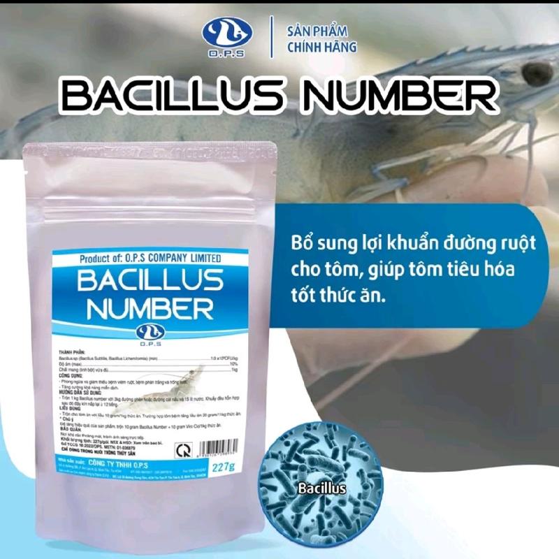 Baciluss Number 227g- Hỗ trợ phòng ngừa bệnh  viêm ruột, bệnh phân trắng trên tôm, hỗ trợ tăng cường khả năng miễn dịch cho tôm. 0