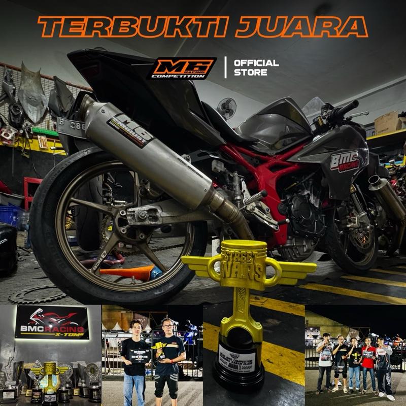 M6 Racing silincer competition TRIOVAL-BIG