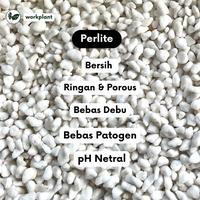Gambar Perlite Eropa 3-7mm (5 Liter) Media Tanam Organik Porous Tanaman Hias dari workplant official Kota Surabaya 4 Tokopedia