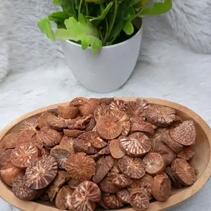 GIS // Pinang Muda iris Kering 100g Spices