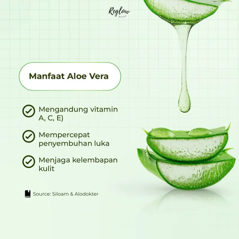 REGLOW Sabun Cuci Muka Facial Wash dr Shindy Original Pembersih Muka Kusam c2 Box Kotoran 3