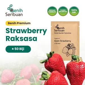 Benih Buah Strawberry Jumbo Premium - Benih Seribuan