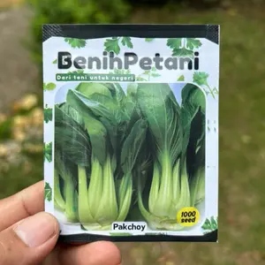 1000 Benih Bibit Sawi Pakcoy Sawi Daging Sawi Sendok Unggul