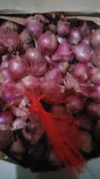 Product Review of Bawang Merah Lokal Super 1kg - Kecombrang dan Jahe from D**i T**h 0
