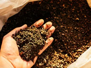 pupuk organik untuk pertumbuhan