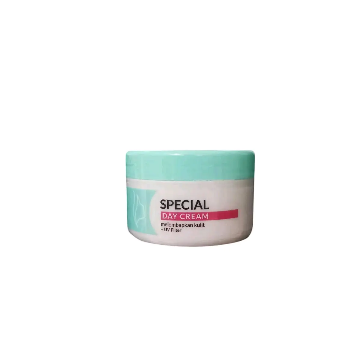 Viva Special Day Cream 22g