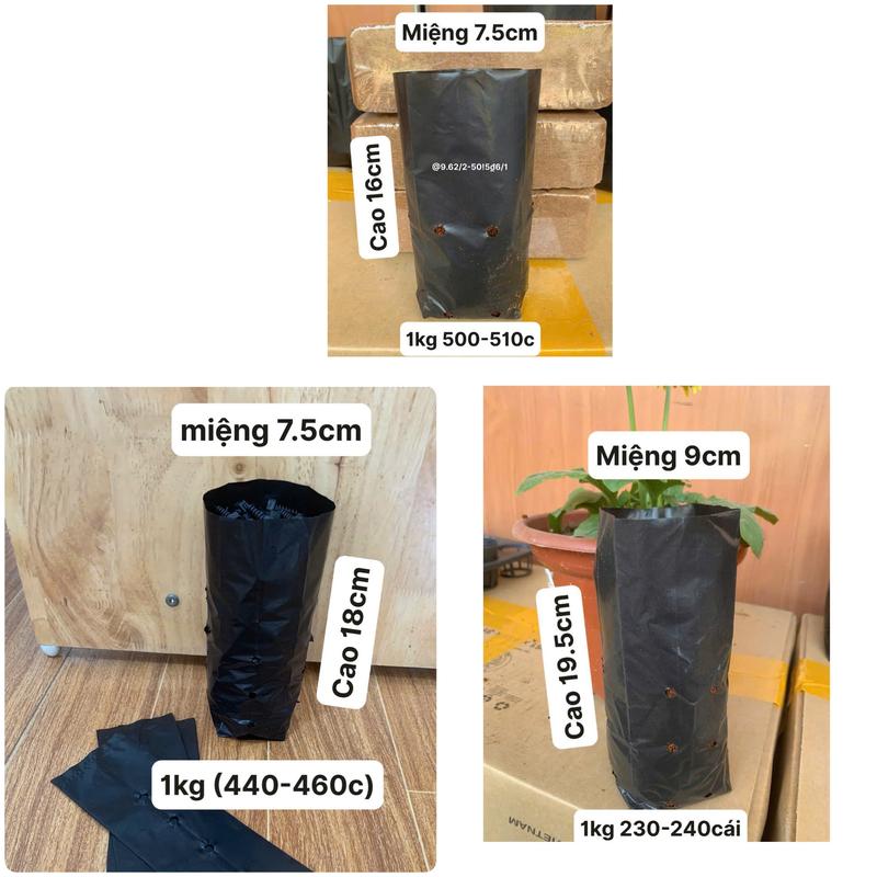 Túi Bầu Ươm Cây Giống túi ươm cà phê cỡ miệng 7.5cm và cỡ miệng 9cm số lượng nhiều giá tốt