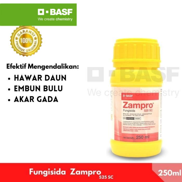 Gambar Zampro 250 ml Fungisida Sistemik Untuk Busuk Daun Hawar Daun Kentang Tanaman dari BASF Petani Sejahtera Kota Tangerang Tokopedia