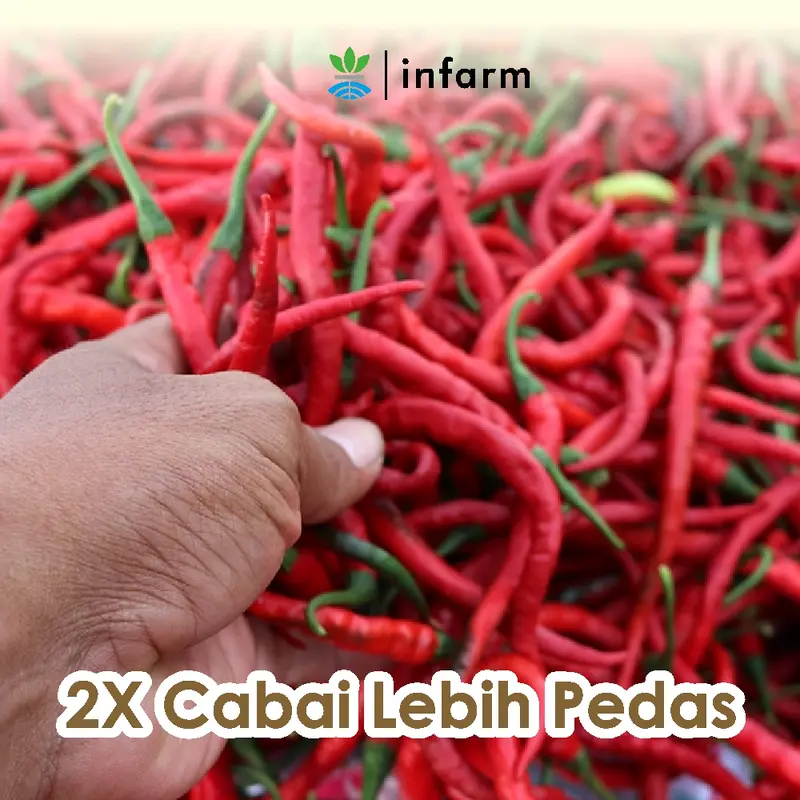 Infarm Pupuk Orgnaik Cair Tanaman Cabai 100 Ml Pupuk Cabai Organik Pupuk Tanaman Organik 2