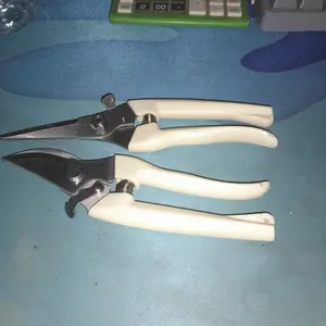 Gunting Dahan Ranting Pohon / Garden Scissors / Gunting Tanaman / Peralatan Berkebun Stainless Steel