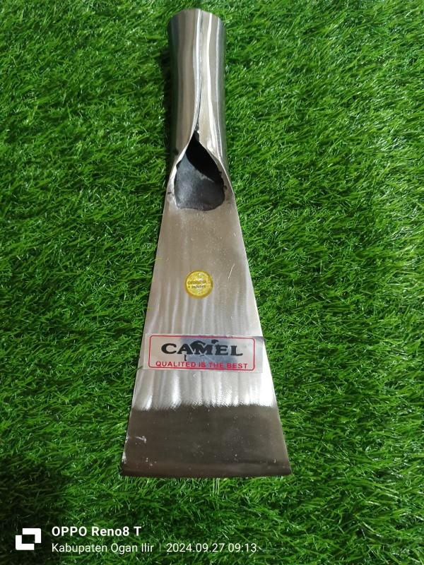 Product Introduction of DODOS SAWIT CAMEL PUTIH PREMIUM 1