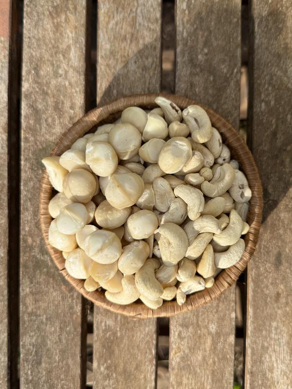  COMBO HẠT TƯƠI NẤU SỮA MACCA DAKLAK VÀ HẠT ĐIỀU BÌNH PHƯỚC 