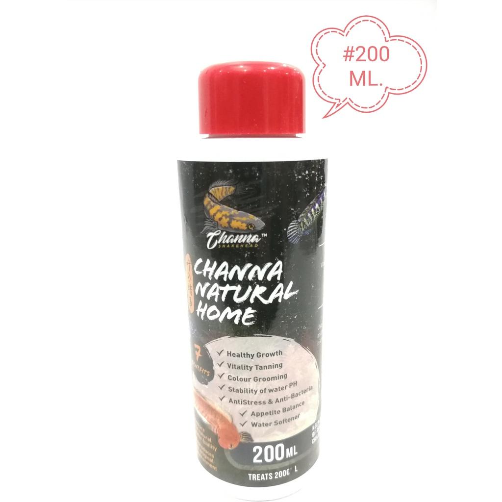 Channa Natural Home 200ml SnakeHead Aquarium Fish Akuarium Ikan
