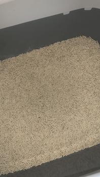 Product Review of Master Tofu Soya Cat Litter Pasir Gumpal Kucing 6 Litter from s**🏻 0